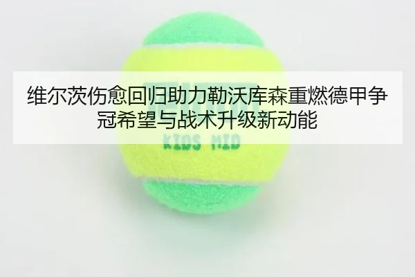 维尔茨伤愈回归助力勒沃库森重燃德甲争冠希望与战术升级新动能
