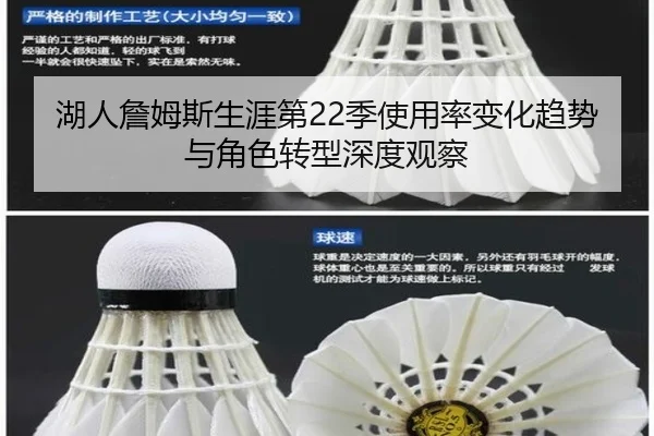 湖人詹姆斯生涯第22季使用率变化趋势与角色转型深度观察