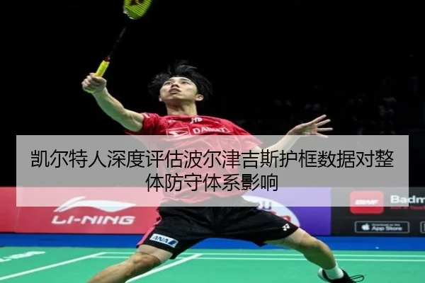 凯尔特人深度评估波尔津吉斯护框数据对整体防守体系影响